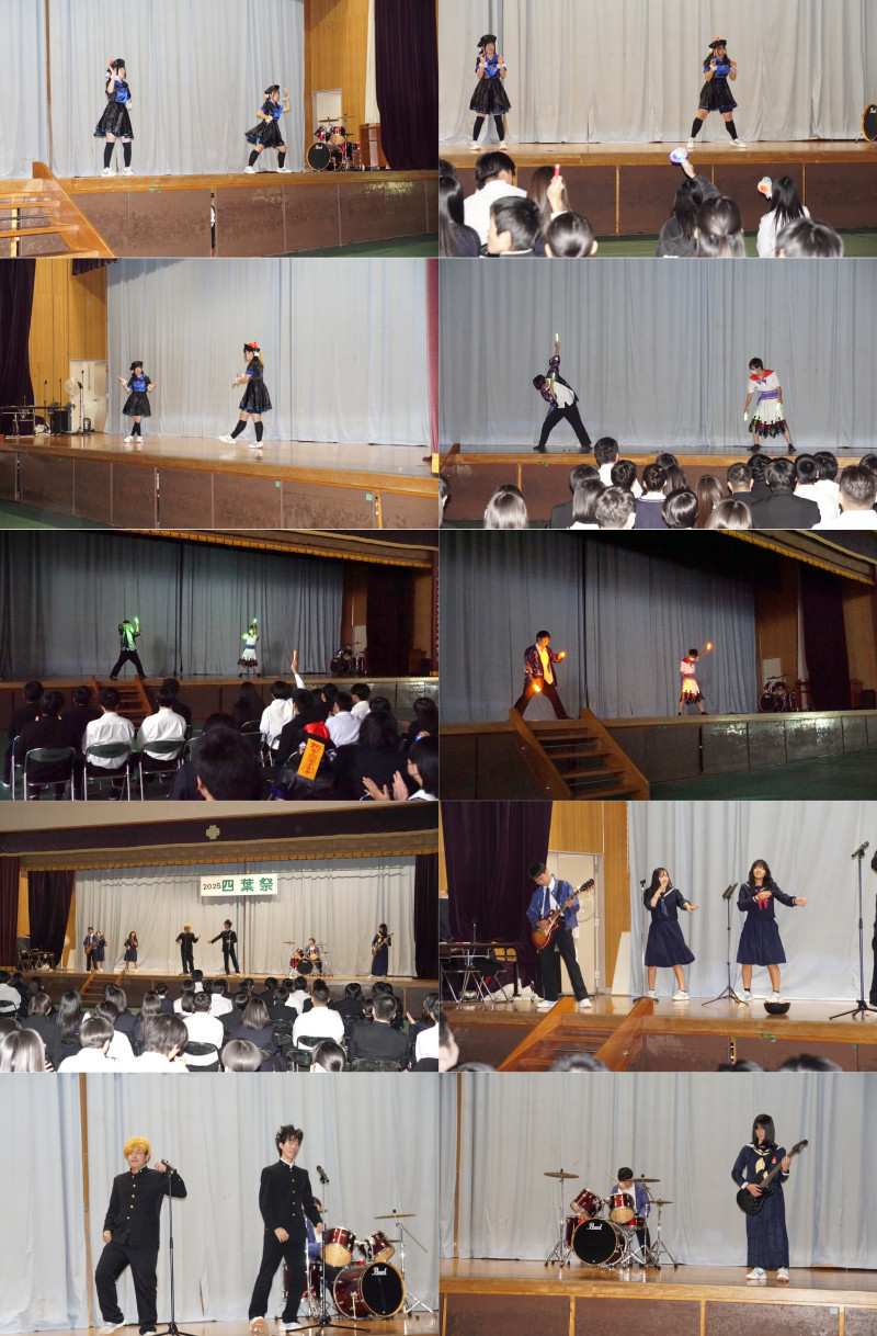 Elements Organizer-02