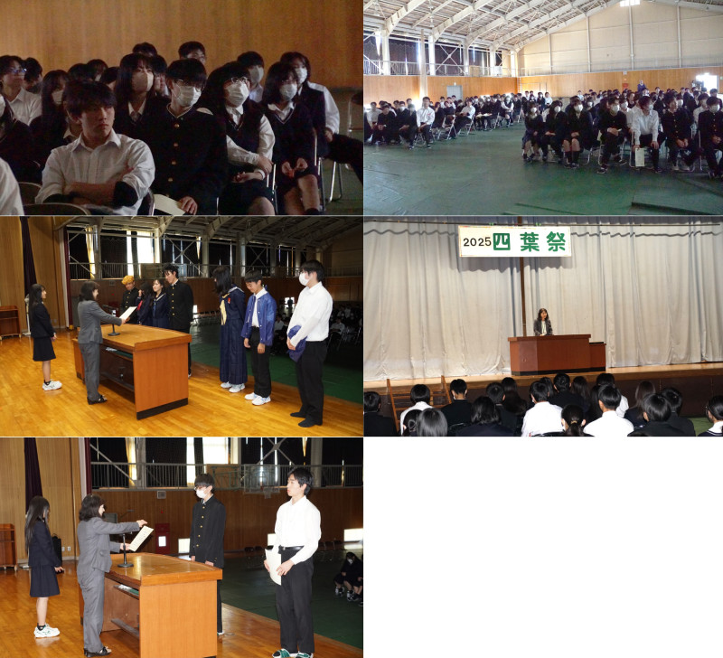 Elements Organizer-03