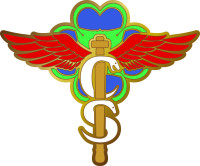 itcs_emblem_color-goldgradation